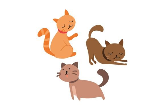 Cat Icon Shop Review
