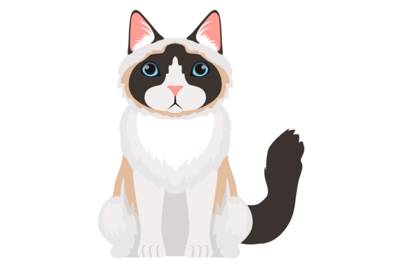 Siamese Cat. Fluffy Pet Sitting. Pet Ico